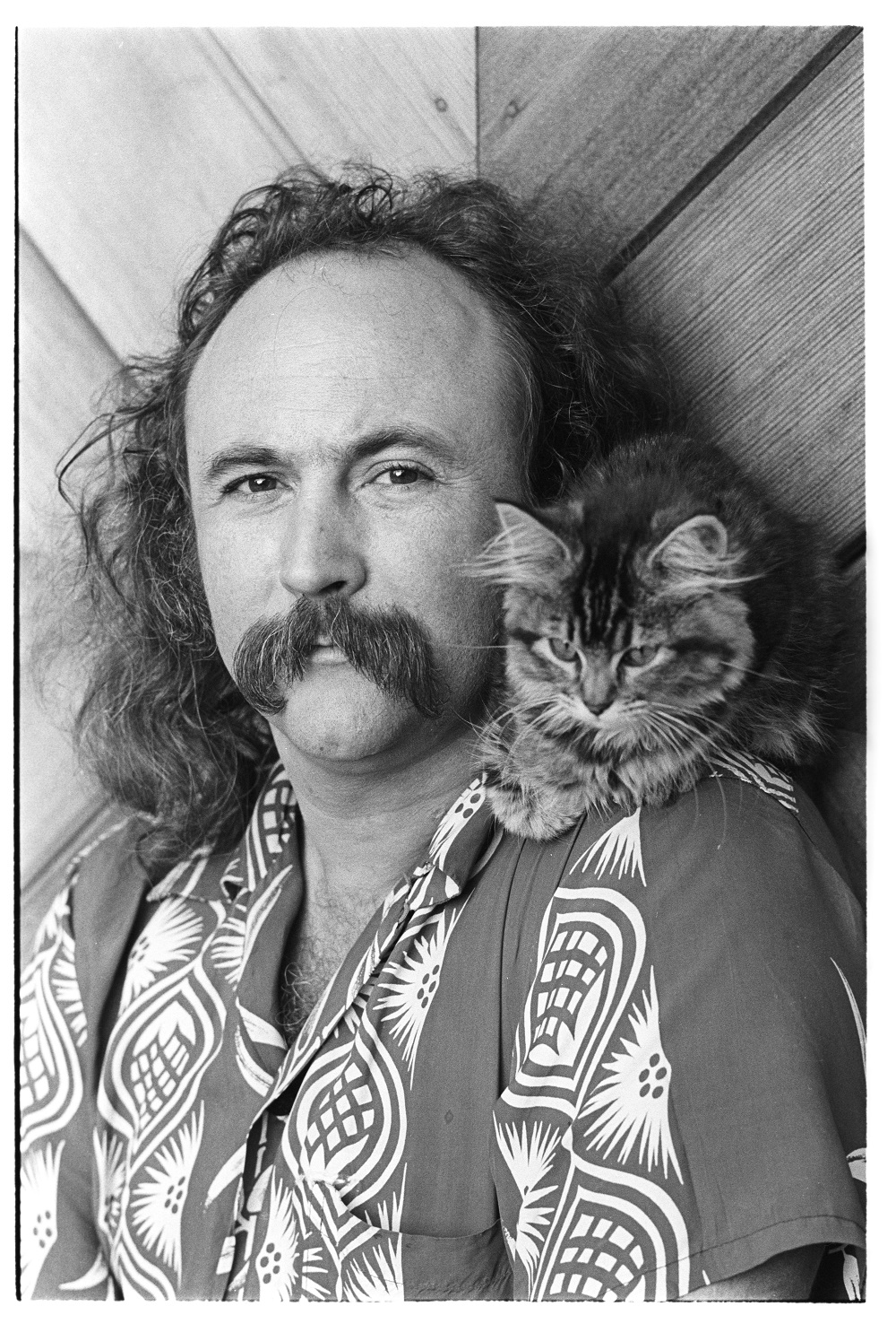 david-crosby-and-cat-sony-classics.jpg