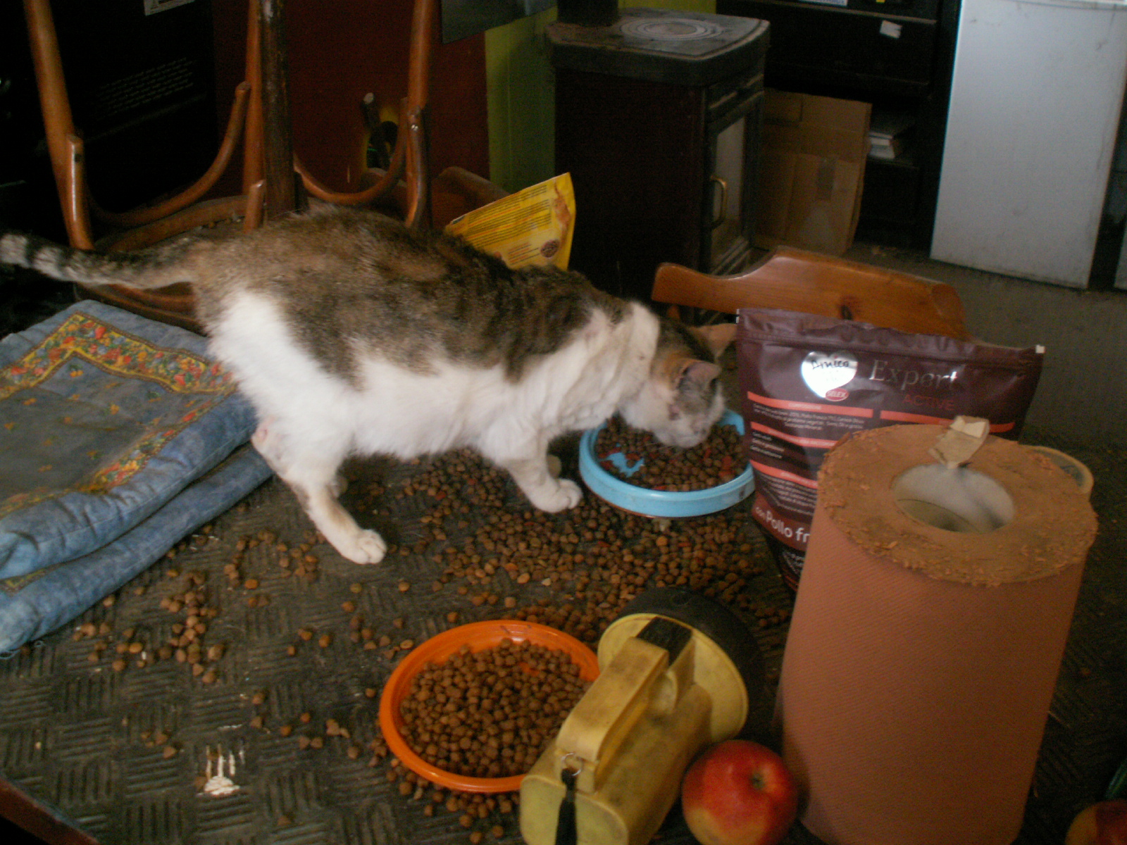 PICT1261.JPG