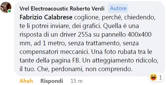 VREL_commento_Risp_ingr.jpg